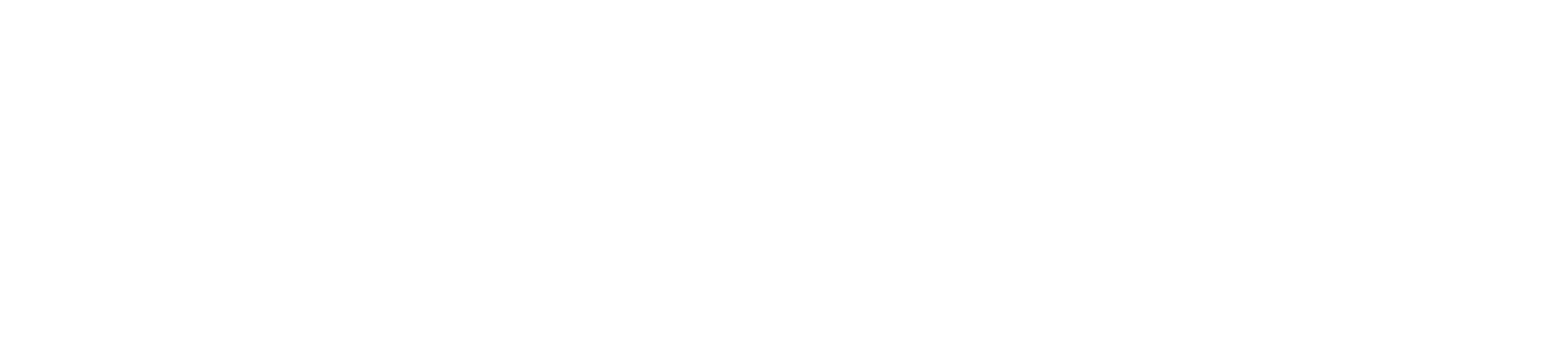 Shades for Private Execution